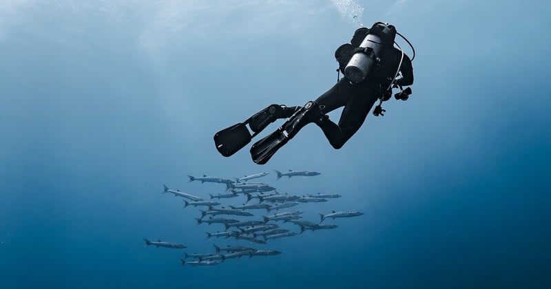 Formation en soudure sous marine : le métier qui paye très bien