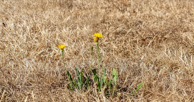 Matériaux extérieurs : pourquoi le climat nantais change tout
