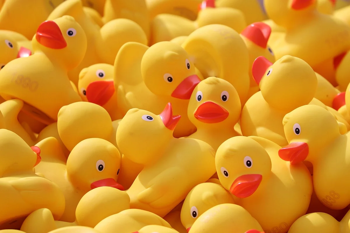 Combien de courses pour une famille de 4 personnes ?