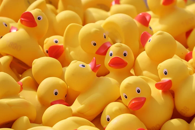 Combien de courses pour une famille de 4 personnes ?