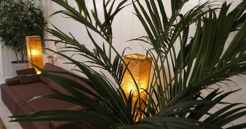 Canapé pour ERP : le mobilier qui booste votre espace détente