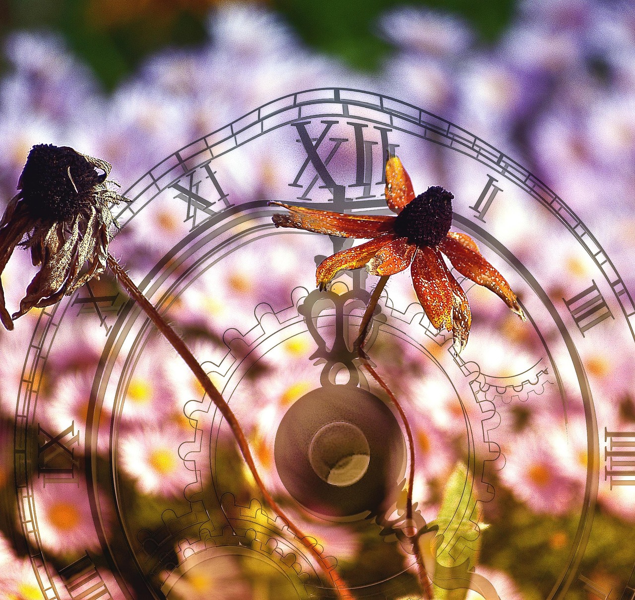 d&eacute;couvrez le concept d'immutabilit&eacute;, une caract&eacute;ristique essentielle en programmation et en d&eacute;veloppement, garantissant que les donn&eacute;es ne peuvent &ecirc;tre modifi&eacute;es une fois cr&eacute;&eacute;es. apprenez comment cela influence la s&eacute;curit&eacute;, la performance et la gestion des &eacute;tats dans vos applications.